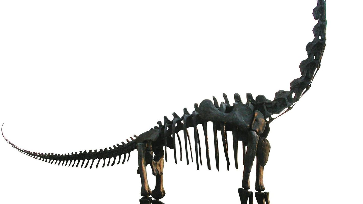 Mounted Brachiosaurus altithorax skeleton outside the Field Museum in Chicago, a cast based on the holotype with the missing parts filled in from the Berlin Giraffatitan
