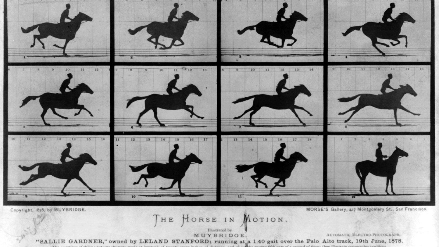 A strip of twelve sequential 1878 photographs by Eadweard Muybridge showing the racehorse Sallie Gardner galloping past a row of trip-wire cameras at Stanford's Palo Alto track