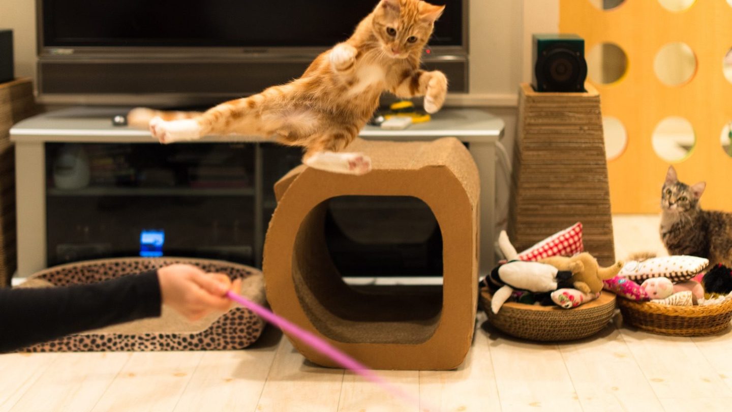 An orange tabby kitten leaping through the air with all four legs extended, mid-flight toward a cardboard cat tower in a living room