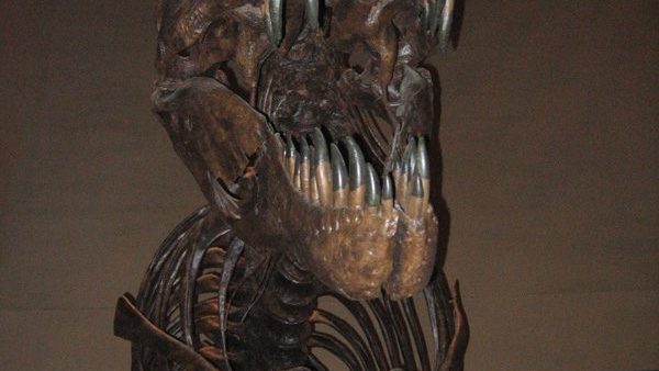 Tyrannosaurus Rex: What Science Actually Knows