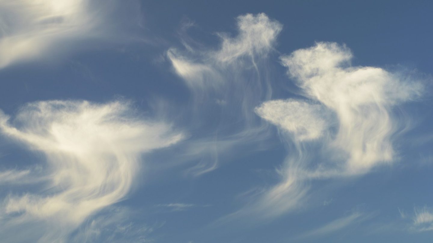 Dark, wispy streaks of virga hanging beneath altocumulus clouds over a forest landscape in Tyresta, Sweden, showing the trailing rain that evaporates before reaching the ground